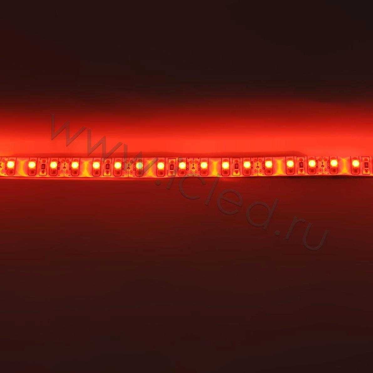 Влагозащищенные светодиодные ленты Светодиодная лента Standart PRO class, 3528, 120 led/m, Red, 12V, IP65 Icled