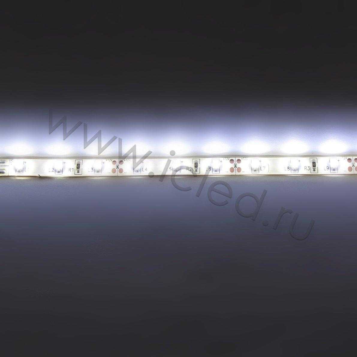 Влагозащищенные светодиодные ленты Светодиодная лента Standart PRO class, 3528, 60 led/m, White, 12V, IP65 Icled