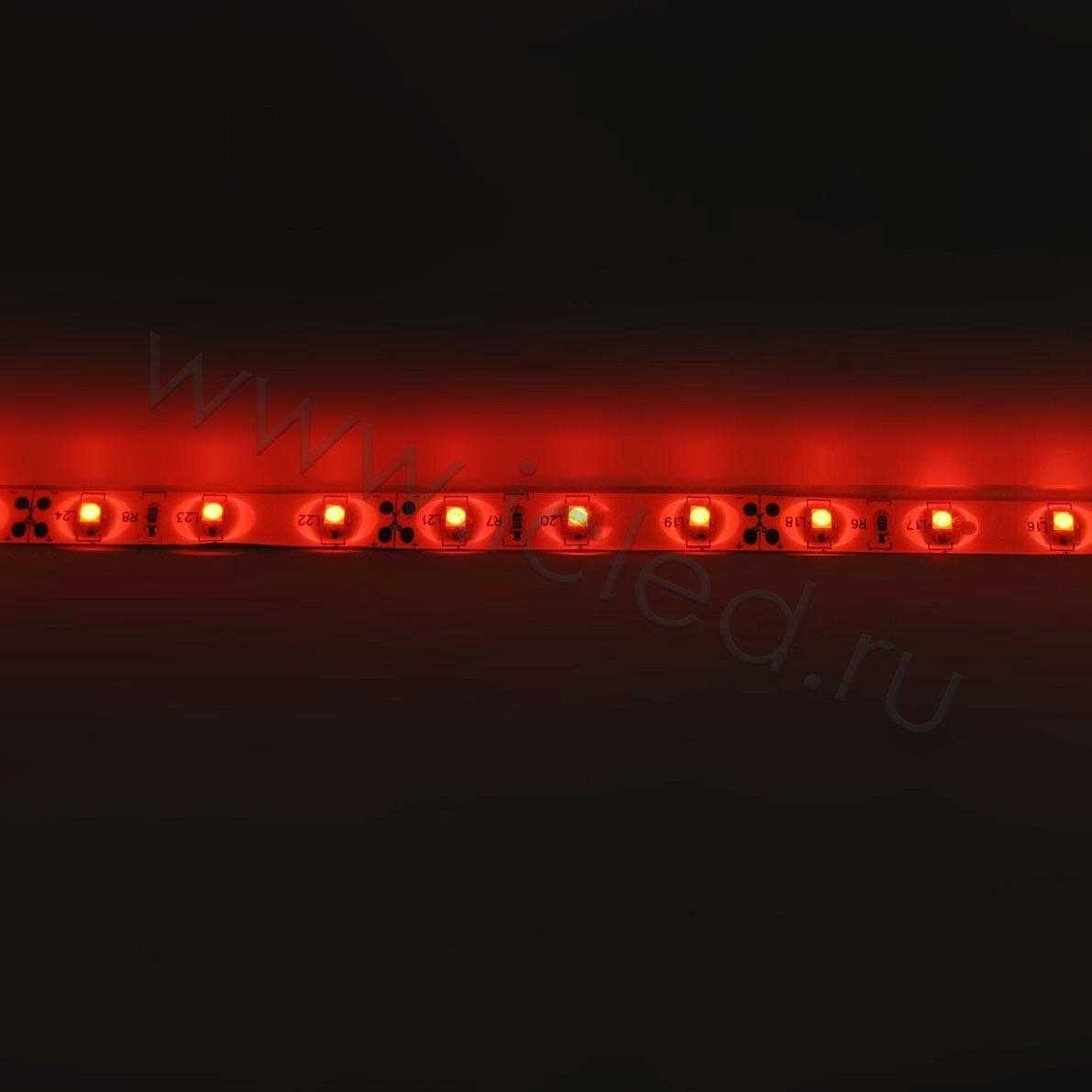 Влагозащищенные светодиодные ленты Светодиодная лента Standart PRO class, 3528, 60 led/m, Red, 12V, IP65 Icled