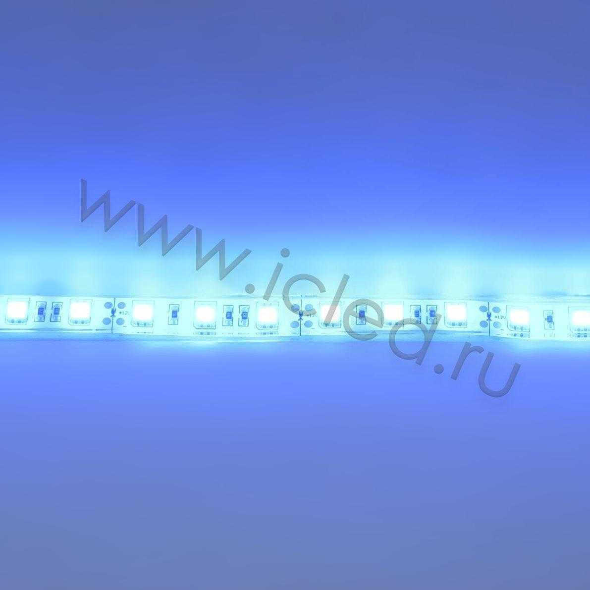 Влагозащищенные светодиодные ленты Светодиодная лента Standart PRO class, 5050, 60led/m, Blue, 12V, IP68 Icled