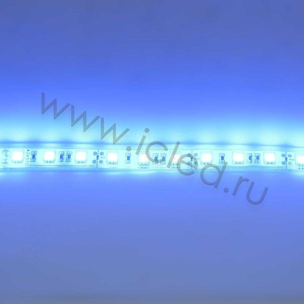 Влагозащищенные светодиодные ленты Светодиодная лента Standart PRO class, 5050, 60led/m, Blue, 12V, IP68 Icled