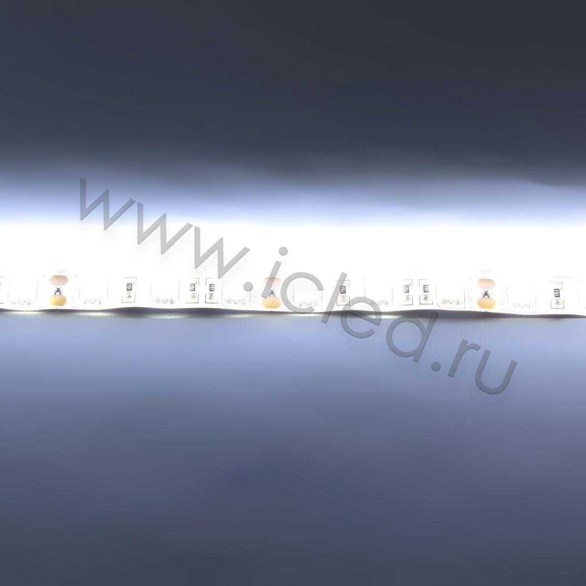 Влагозащищенные светодиодные ленты Светодиодная лента LUX class, 5050, 60 led/m, White,12V, IP65 Icled