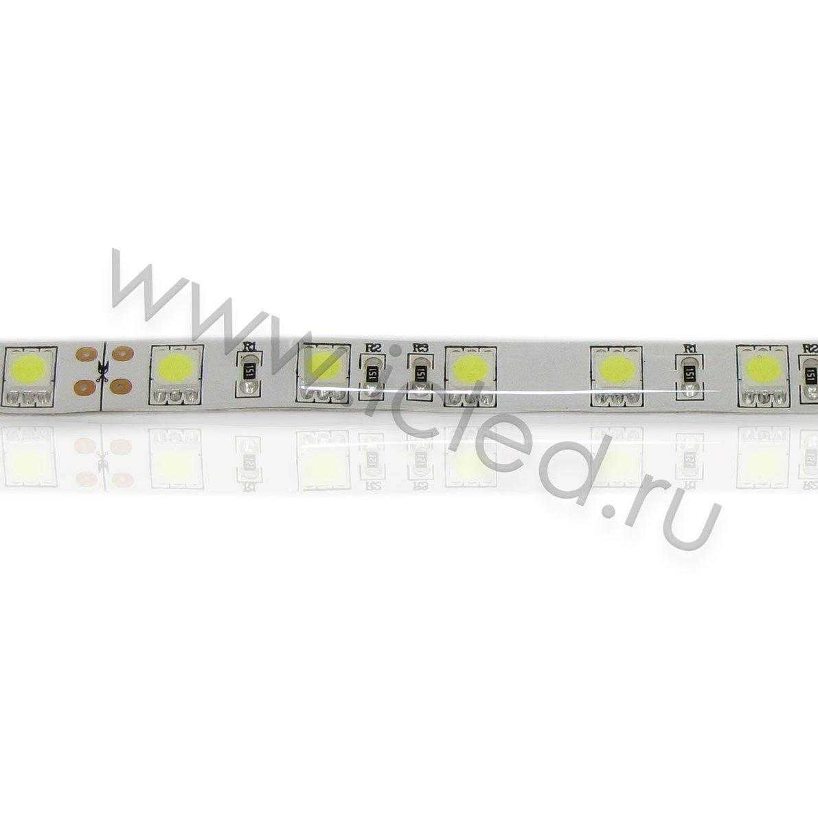 Влагозащищенные светодиодные ленты Светодиодная лента Standart PRO class, 5050, 60led/m, White, 24V, IP65 Icled