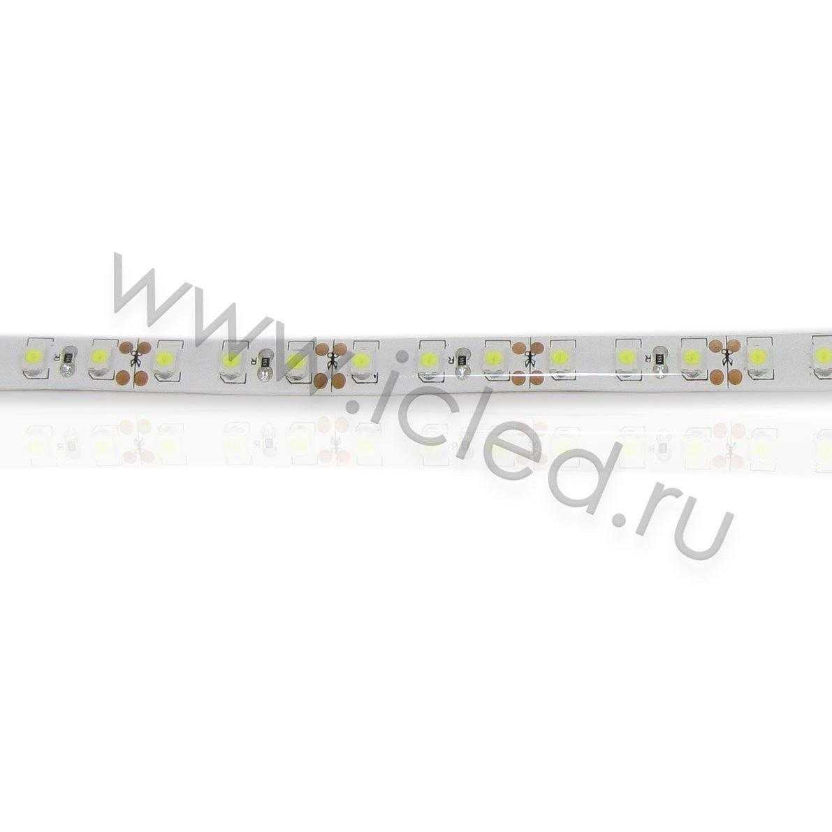 Влагозащищенные светодиодные ленты Светодиодная лента Standart class, 3528, 120led/m, White, 12V, IP65 Icled