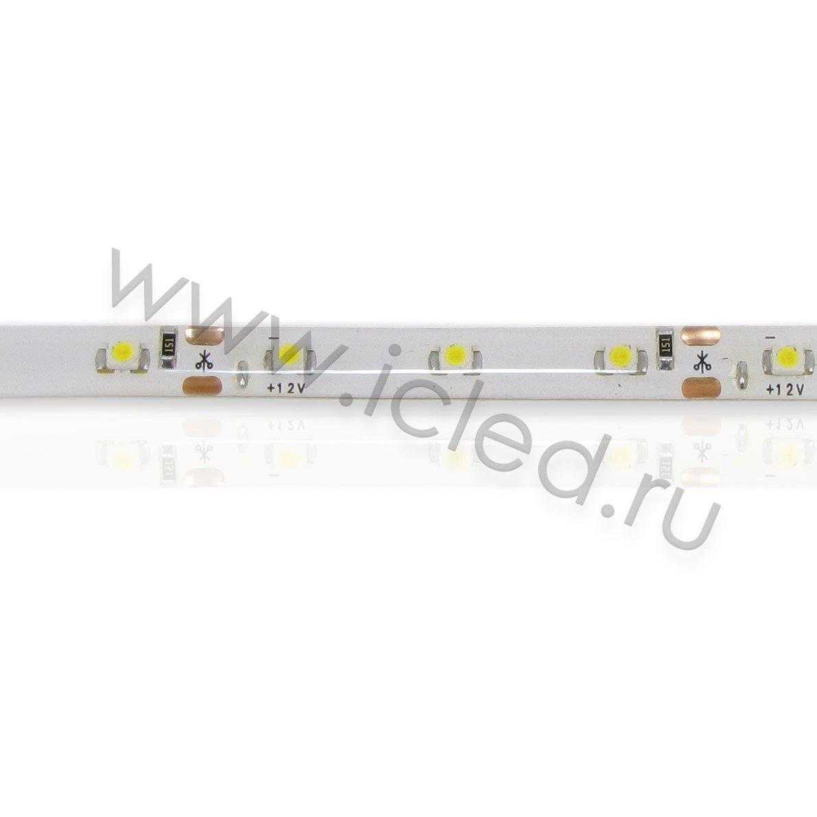 Влагозащищенные светодиодные ленты Светодиодная лента Standart class, 3528, 60led/m, Warm White, 12V, IP65 Icled