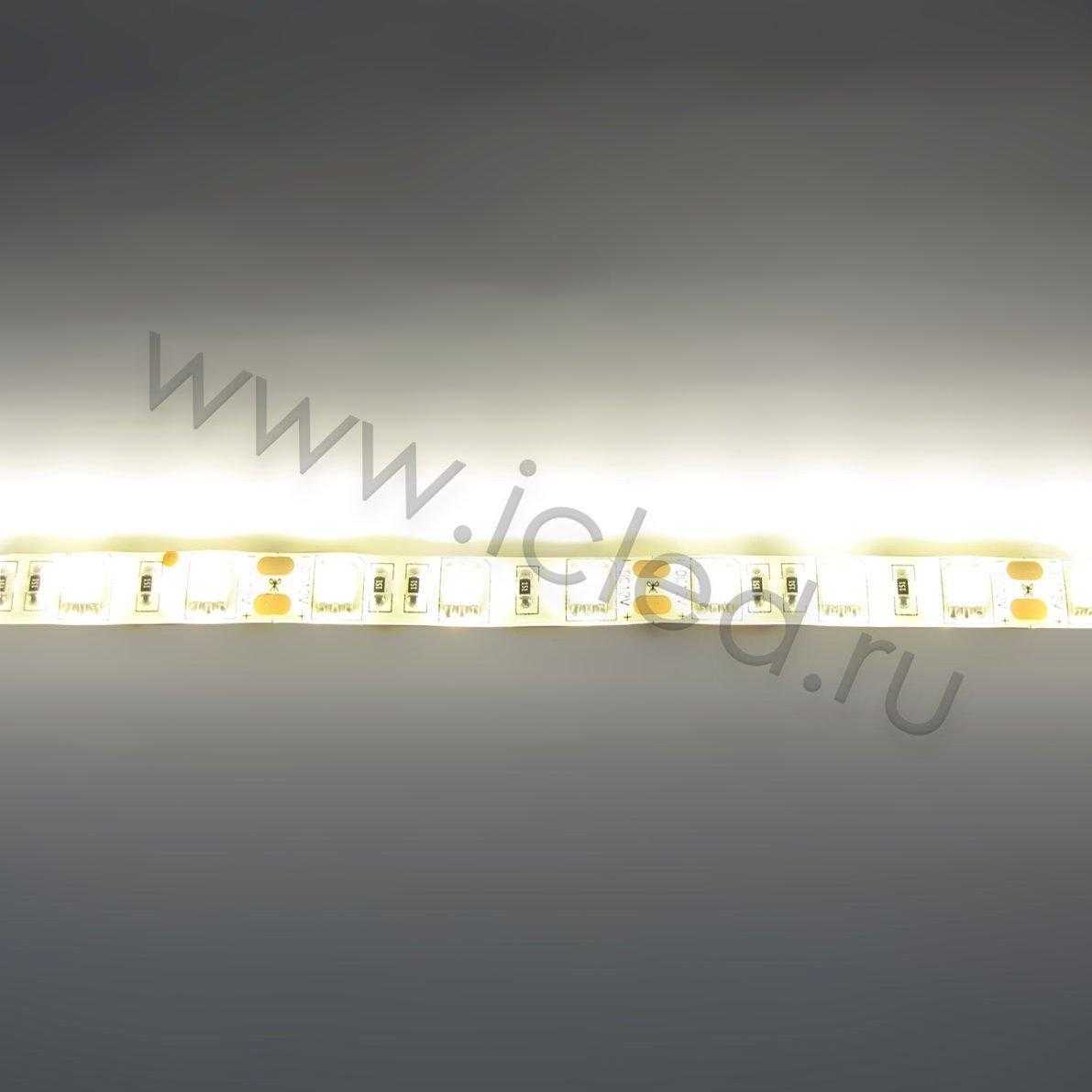 Влагозащищенные светодиодные ленты Светодиодная лента Standart class, 5050, 60led/m, Warm White, 12V, IP65 Icled