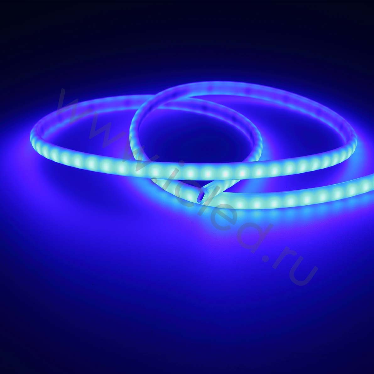 Влагозащищенные светодиодные ленты Светодиодная лента Standart Pro class 2835 120led/m, blue, 12V, IP68, N336 Icled